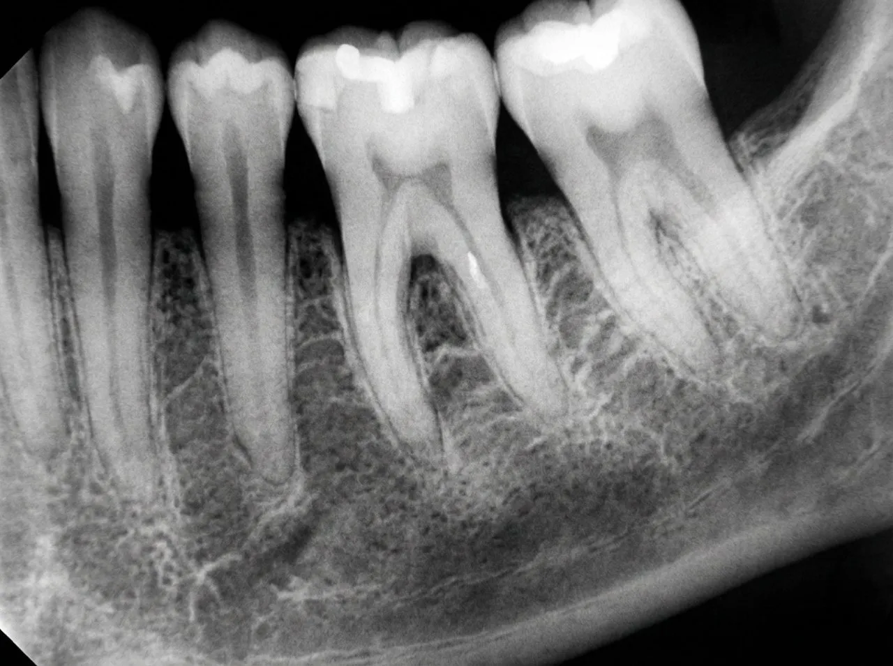Diagnose: Befundaufnahme und Planung