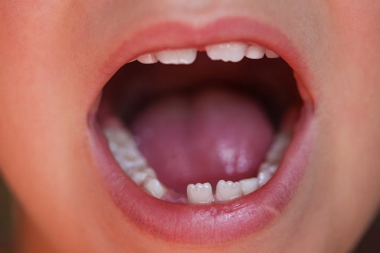Was sind Backenzähne bei Kindern?